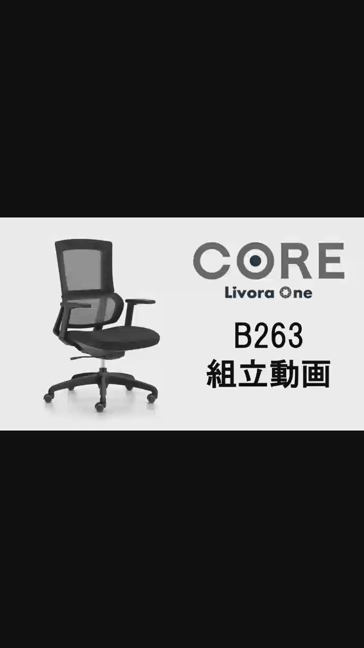 Livora One CORE B263 ロッキング機能付 オフィスチェア